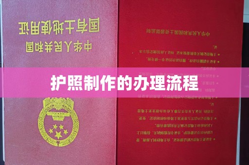 礼泉护照制作的办理流程