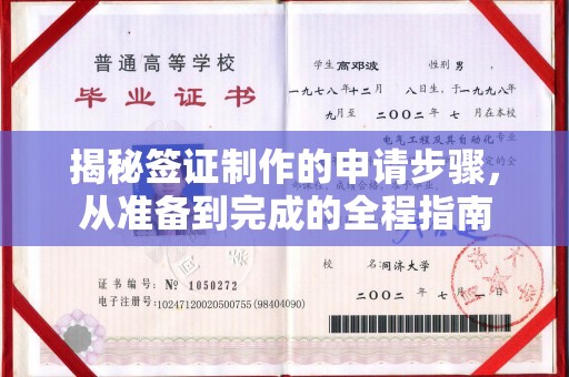 礼泉揭秘签证制作的申请步骤，从准备到完成的全程指南