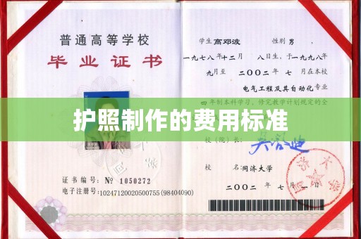 礼泉护照制作的费用标准