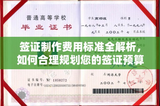 礼泉签证制作费用标准全解析，如何合理规划您的签证预算？